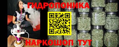 шишки Рузаевка