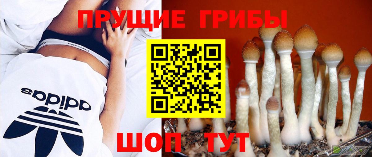 Галлюциногенные грибы мухоморы Сафоново