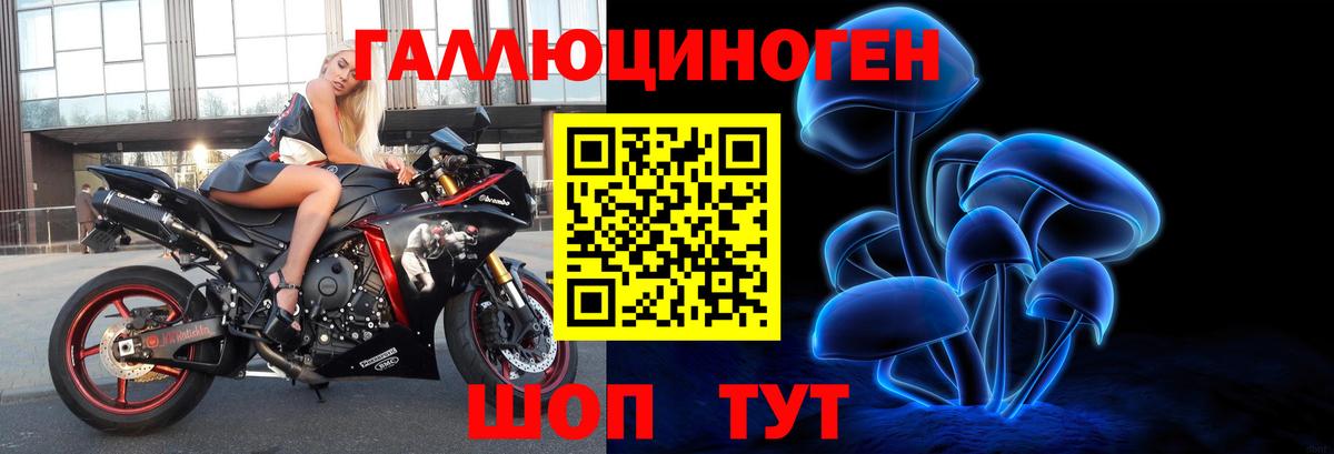 Сафоново  Галлюциногенные грибы прущие грибы  Вход с VPN 